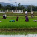 From Chiang Mai: Mae Taeng Valley Hike & Bike Day Trip - Authenticity and Value