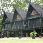 From Chiang Rai: 3 Temples, Golden Triangle Tour, Tea Plantation - Why This Tour Works for Different Travelers