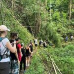 From Chiang Rai Jungle Adventure Group Trekking Bamboo Cooking - Who Will Enjoy This Tour?