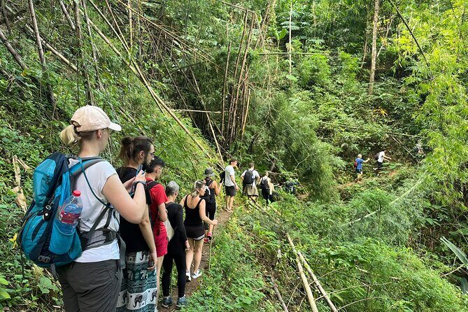 From Chiang Rai Jungle Adventure Group Trekking Bamboo Cooking - Who Will Enjoy This Tour?