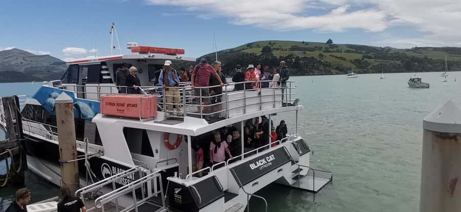 From Christchurch: Akaroa Day Tour with Optional Cruise - Detailed Review of the Tour