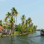 From Cochin : Alleppey Houseboat day cruise - Round trip - Exploring Kerala’s Backwaters with a Houseboat Day Cruise