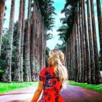 From Colombo: 2-Day Nuwara Eliya, Kandy, and Sigiriya Tour - What You Can Expect from the Tour