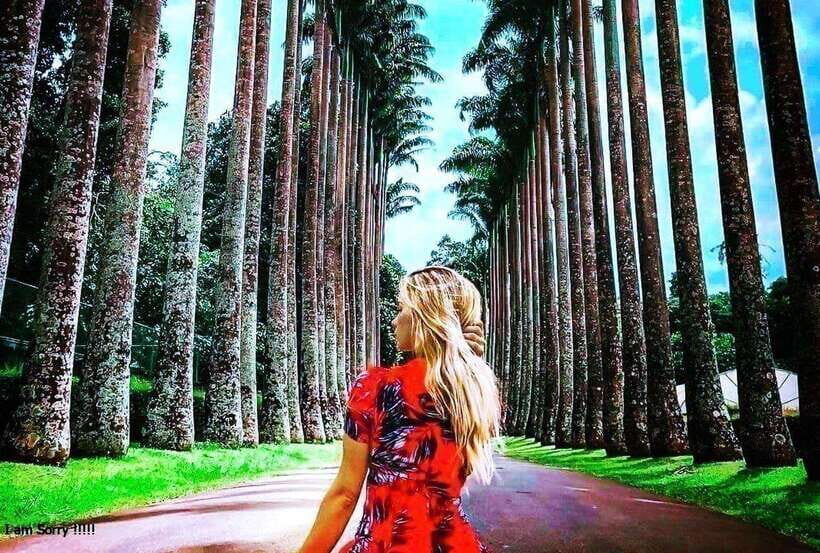 From Colombo: 2-Day Nuwara Eliya, Kandy, and Sigiriya Tour - What You Can Expect from the Tour