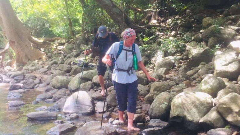 From Colombo: 4-Day Hill Country Tour with Train Ride - Practical Details and Value