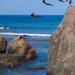 From Colombo: Go-Karting, Galle Fort and Water Sports Tour - Go-Karting at Pearl Bay: An Adrenaline Rush