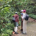 From Colombo/Kalutara: Full-Day Sinharaja Guided Eco Trek - The Itinerary: What to Expect