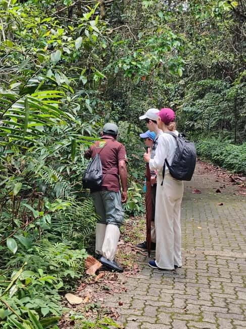 From Colombo/Kalutara: Full-Day Sinharaja Guided Eco Trek - The Itinerary: What to Expect