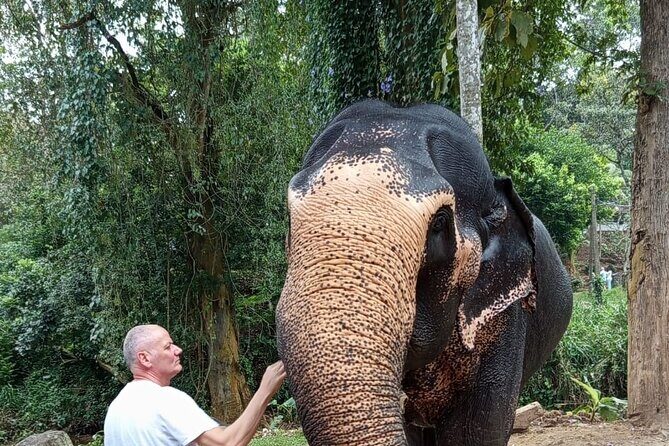 From Colombo: Kandy and Pinnawala Full-Day Trip - What Sets This Tour Apart?