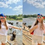 From Colombo: Kandy Temple of Tooth & Elephant Orphanage - What Makes This Tour Stand Out