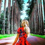 From Colombo: Overnight Tour to Kandy and Transfer to Sigiriya - Breakdown of the Itinerary: What You Can Expect