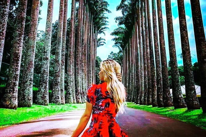 From Colombo: Overnight Tour to Kandy and Transfer to Sigiriya - Breakdown of the Itinerary: What You Can Expect