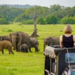 From Colombo: Private 2-Day Trip Dambulla, Sigiriya & Safari - Day 1: From Colombo to Dambulla