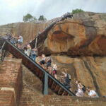 From Colombo: Sigiriya Rock, Dambulla & Minneriya 4x4 Safari - Detailed Experience and Practicalities