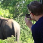 From Colombo: Yala and Ella 2-Day Tour with Jeep Safari - What Makes This Tour Stand Out?