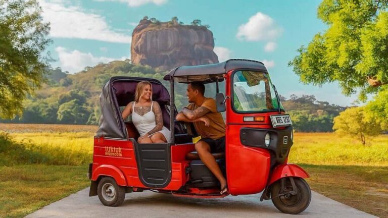From Dambulla, Sigiriya: Polonnaruwa Tuk Tuk Day Tour - Planning the Day: What to Expect