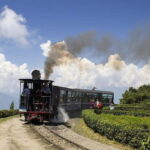 From Darjeeling: 8-Day Sandakphu Circuit Trek - What the Tour Includes and Why It Matters