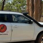 From Darwin: 3-Day Kakadu and Litchfield National Park Tour - Practical Aspects and What to Expect