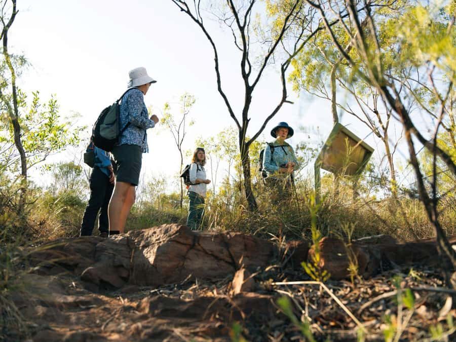 From Darwin: 4-Day Kakadu, Katherine & Litchfield Explorer - Practical Details and What to Expect