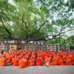 From Delhi: 14-Day Round-trip Buddhist Trail w/ Nepal Entry - Exploring the 14-Day Buddhist Trail: What to Expect