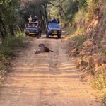 From Delhi: 3 Days Golden Triangle Tour With Tiger Safari - The Practicalities and What You Should Know