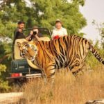 From Delhi: 4-Day Golden Triangle Tour with Tiger Safari - Practical Aspects and Value