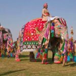 From Delhi: All Inclusive Jaipur Tour with Lunch & Transfers - The Full Breakdown of the Jaipur Private Tour