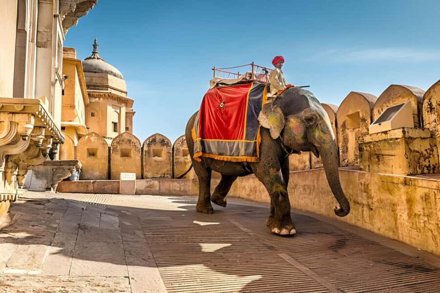 From Delhi: Jaipur Same Day Tour By Car - Visiting Amber Fort: Architectural Grandeur with a View