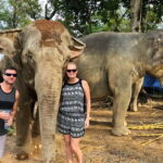 From Delhi: Jaipur Tour with Guide, Transport & Elephants - What Makes This Tour Stand Out?
