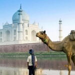 From Delhi: Overnight Taj Mahal & Agra City Tour by Car - Early Morning Taj Mahal Visit
