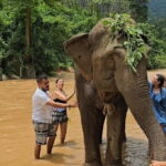 From Delhi: Sunrise Taj Mahal Tour With Elephant SOS - What’s Included & What to Consider