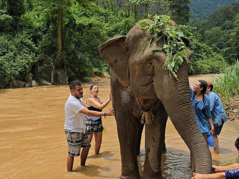 From Delhi: Sunrise Taj Mahal Tour With Elephant SOS - What’s Included & What to Consider