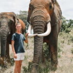 From Delhi: Sunrise Taj Mahal & visit Elephant Conservation - Why This Tour Offers Great Value