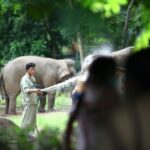 From Delhi: Taj Mahal Sunrise, Agra Fort & Elephant Tour - Exploring the Full Itinerary — What You Can Expect