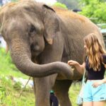 From Delhi: Taj Mahal Sunrise, Agra Fort & Elephant Tour - What Does the Cost Cover and Why It’s Good Value