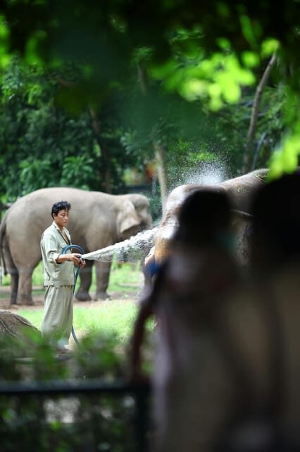 From Delhi: Taj Mahal Sunrise, Agra Fort & Elephant Tour - Exploring the Full Itinerary — What You Can Expect