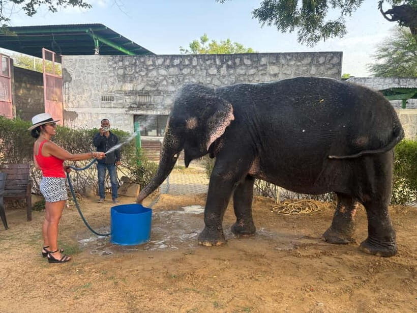 From Delhi: Taj Mahal Sunrise and Elephant Conservation Tour - Final Thoughts: Is This Tour Worth It?