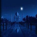 From Delhi: Taj Mahal Sunrise Trip with Elephant SOS Center - Practical Details and Tips