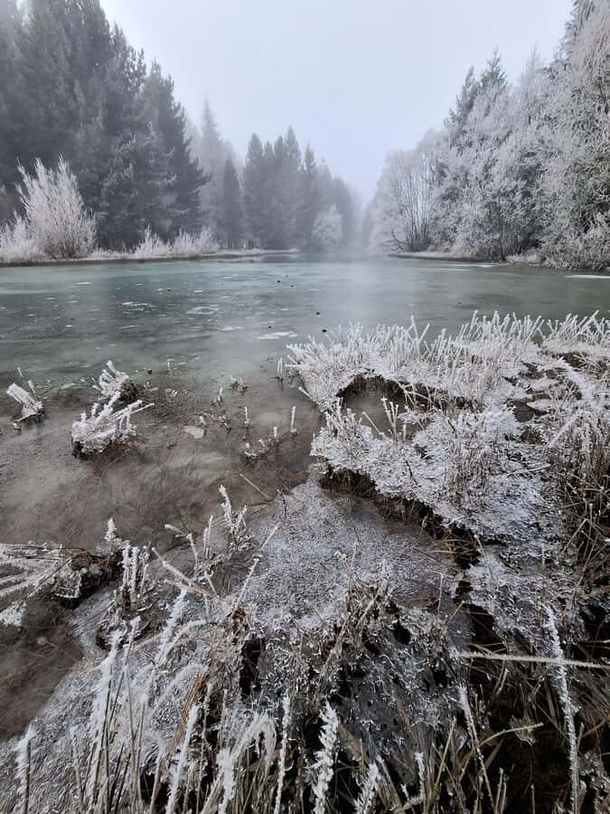 From Dunedin: Mt. Cook and Lake Pukaki Private Day Tour - An In-Depth Look at the Itinerary