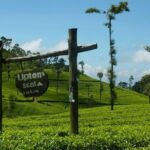 From Ella: Lipton Seat & Dambetenna Tea Factory Private Day Trip - FAQs