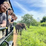 From Ella : Udawalawa Safari & Drop Tangalle/ Mirissa/ Galle - Practical Tips for Travelers
