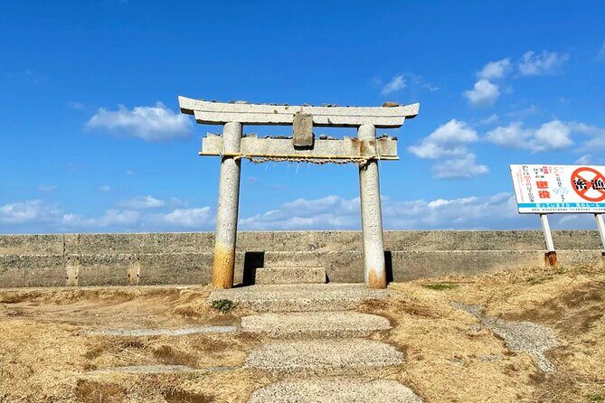 From Fukuoka Kyushu Itoshima Hidden Gems Day Tour - The Transport and Group Experience