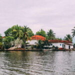 From Galle: Exclusive Madu River Safari & Turtle Hatchery - Final Thoughts