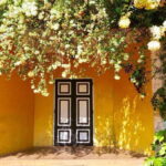 From Galle/Hikkaduwa: Discover Lunuganga & Brief Garden - The Journey Begins: From Galle or Hikkaduwa