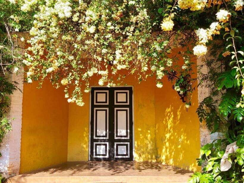 From Galle/Hikkaduwa: Discover Lunuganga & Brief Garden - The Journey Begins: From Galle or Hikkaduwa