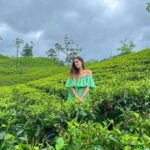 From Galle/Hikkaduwa/Mirissa -All-Inclusive Day Trip to Ella - Practical Details and Value