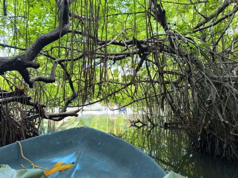 From Galle: Madu River Safari, Turtles & Galle Fort - Exploring the Cinnamon Garden