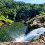 From Galle/Weligama/Mirissa/Matara: Day Trip to Sinharaja - The Value of the Tour