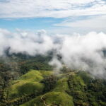 From Galle/Weligama/Mirissa/Matara: Day Trip to Sinharaja - An In-Depth Look at the Sinharaja Day Trip