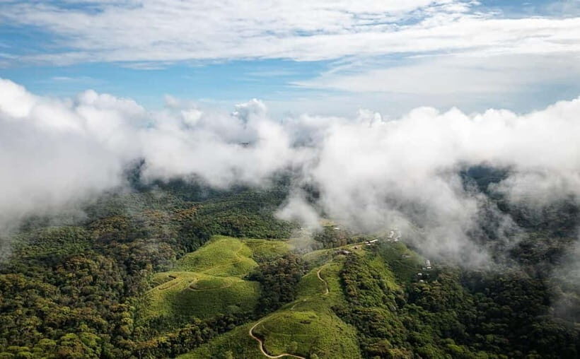 From Galle/Weligama/Mirissa/Matara: Day Trip to Sinharaja - An In-Depth Look at the Sinharaja Day Trip